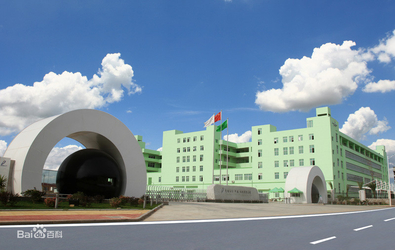 China Runmei(Fujian) Paper Co., Ltd Perfil da companhia