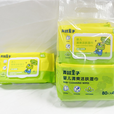 OEM Logo Hand Sanitizing Wet Wipes privado 50pcs sem álcool