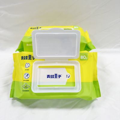 OEM Logo Hand Sanitizing Wet Wipes privado 50pcs sem álcool
