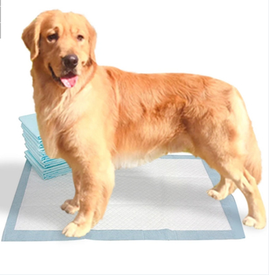 O treinamento de bambu da extra grande acolchoa Pee Pads For Dogs descartável